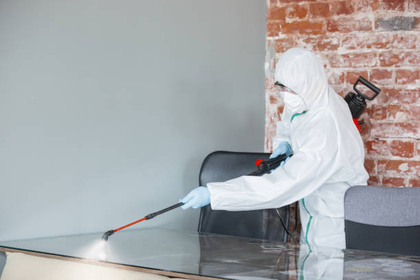 Phoenix, IL Mold Removal Services Company